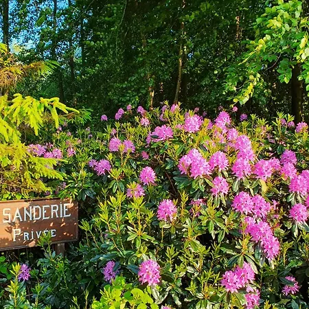 Le Clos Joly 14 Bed & Breakfast Saint-Gatien-des-Bois