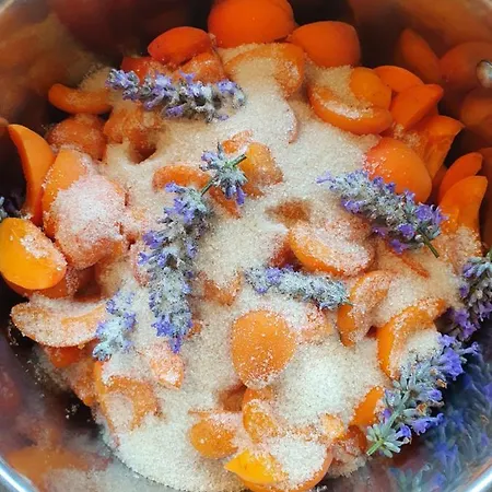 Le Clos Joly 14 3* Saint-Gâtien-des-Bois