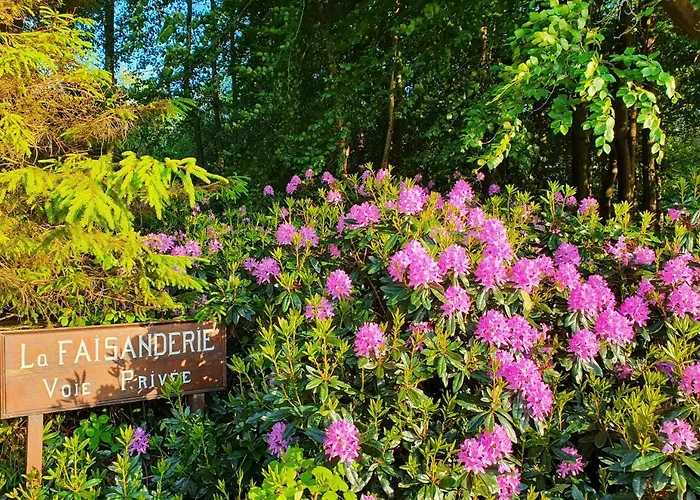 Le Clos Joly 14 B&B Saint-Gâtien-des-Bois