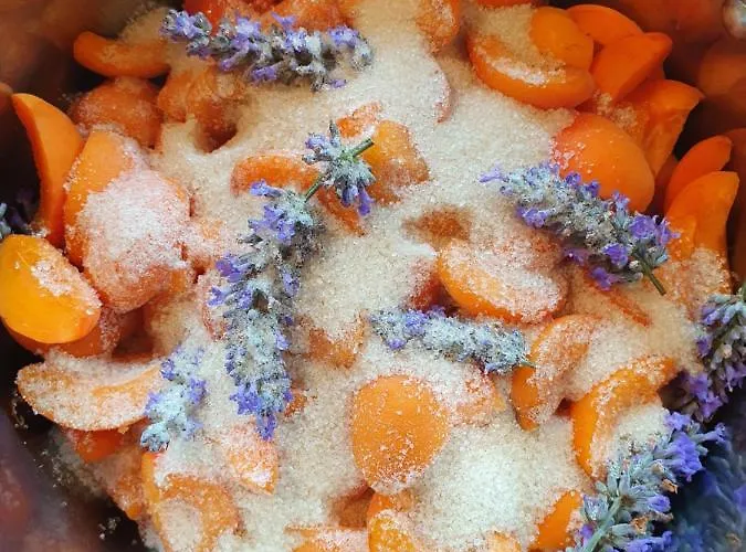 Le Clos Joly 14 3* Saint-Gâtien-des-Bois