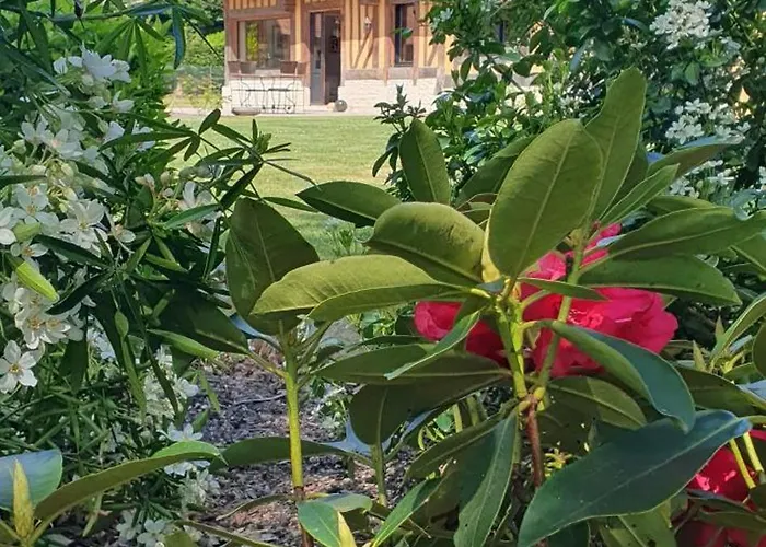 Le Clos Joly 14 B&B Saint-Gâtien-des-Bois